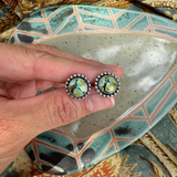 Turquoise Studs